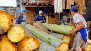 Download Lagu UNEXPECTED WITCH! This kapok wood was already ordered and sold before it was sawn. MP3 Download Lagu UNEXPECTED WITCH! This kapok wood was already ordered and sold before it was sawn. MP3