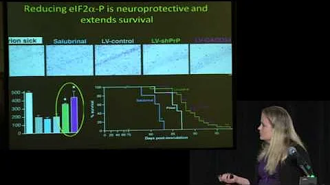 Julie Moreno, PhD