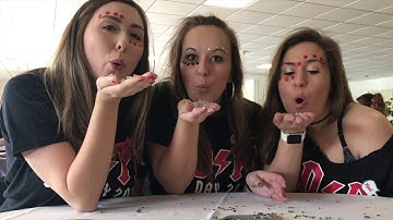 Alpha Delta Pi Fall 2017