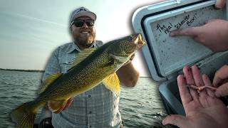 Jig and 'crawler walleye fishing tips you NEED to know!