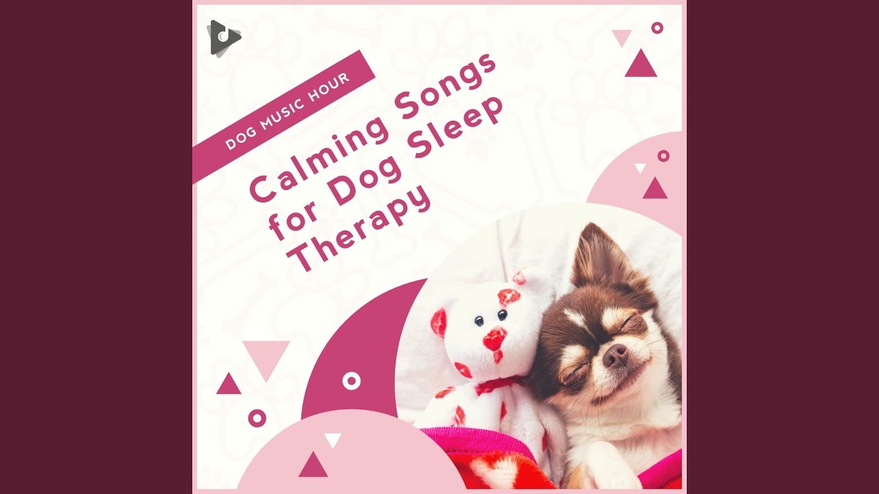 Watch Soft Instrumental for Dogs on YouTube Watch Soft Instrumental for Dogs on YouTube