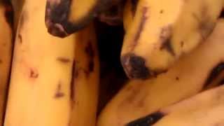 Bruised Bananas Silence