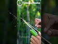 ShortsBlack tree and fork Slingshots - nail iron Creations#Bamboo #Slingshots#191 #Vietnamese Bamboo