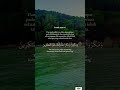 ♥️. #shortvideo #allahuakbar #alhamdulillah