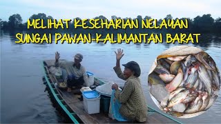 MELIHAT KESEHARIAN NELAYAN SUNGAI PAWAN, KALIMANTAN BARAT