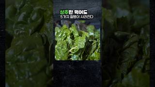 상추 먹고 질병 예방