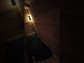 Saunahaus - Saunahütte komplett selbst gebaut, heute endlich LEDs #sauna #schwitzkiste #woodmizer