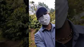 Abir Journey Courier Parcel Drop Productlv 0 20250114214435