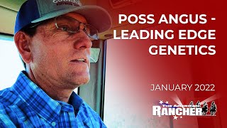 Poss Angus, Leading Edge Genetics | The American Rancher