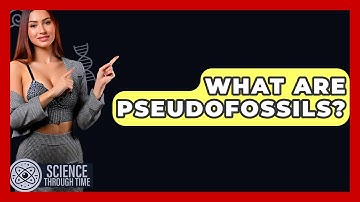 What Are Pseudofossils? - Science Through Time