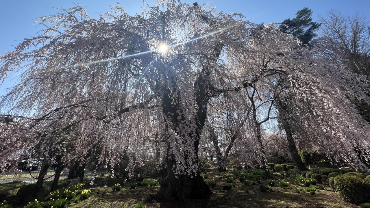 長野県松本市波田ライブカメラ　Nagano Matsumoto Live camera.world.cam