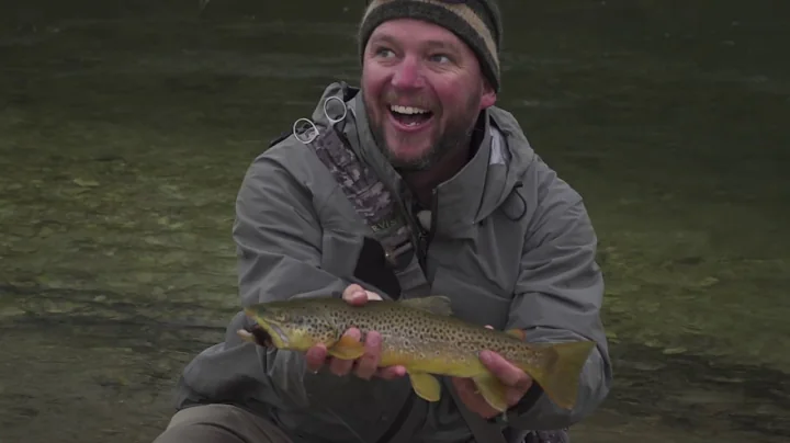 Wyoming Brown - On a mouse in October Sheridan Wyo...