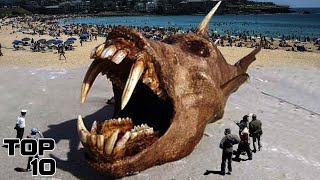 Top 10 Mysterious Things People Found On Beaches