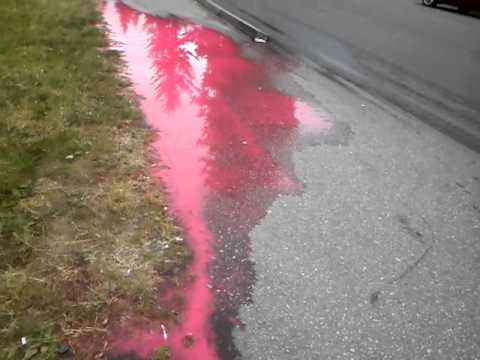 Knife Fight PinkPanther vs. Mr.Pink(Steve Buscemi)