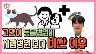 동물병원 병원비 비싼 이유