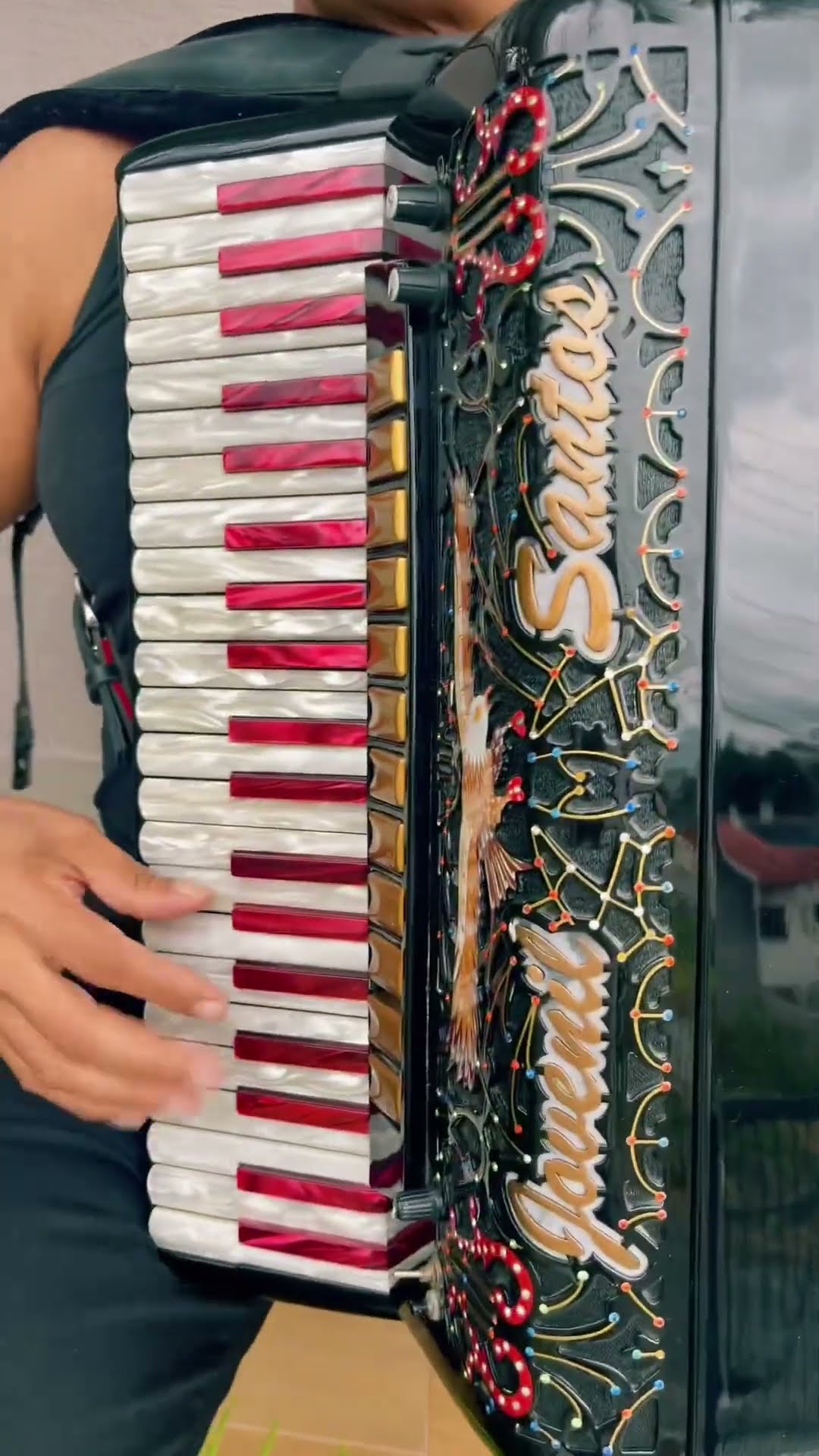 https://rifei.com.br/acordeon-melody-president