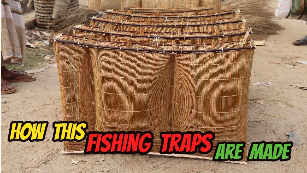 Traditional Fishing Trap Making and Fishing ।।   A Fine Art of Bamboo Stick