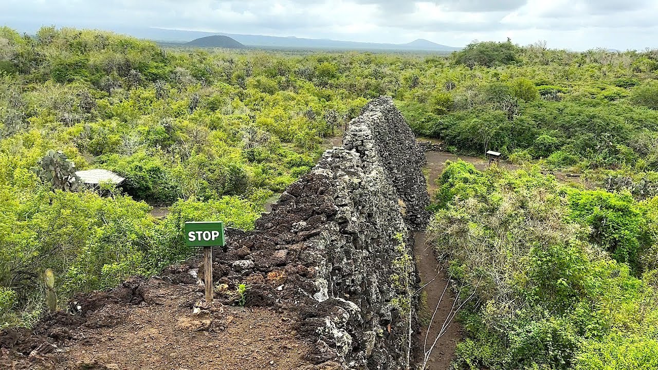 Wall of Tears Isabela Island Galapagos Ecuador YouTube