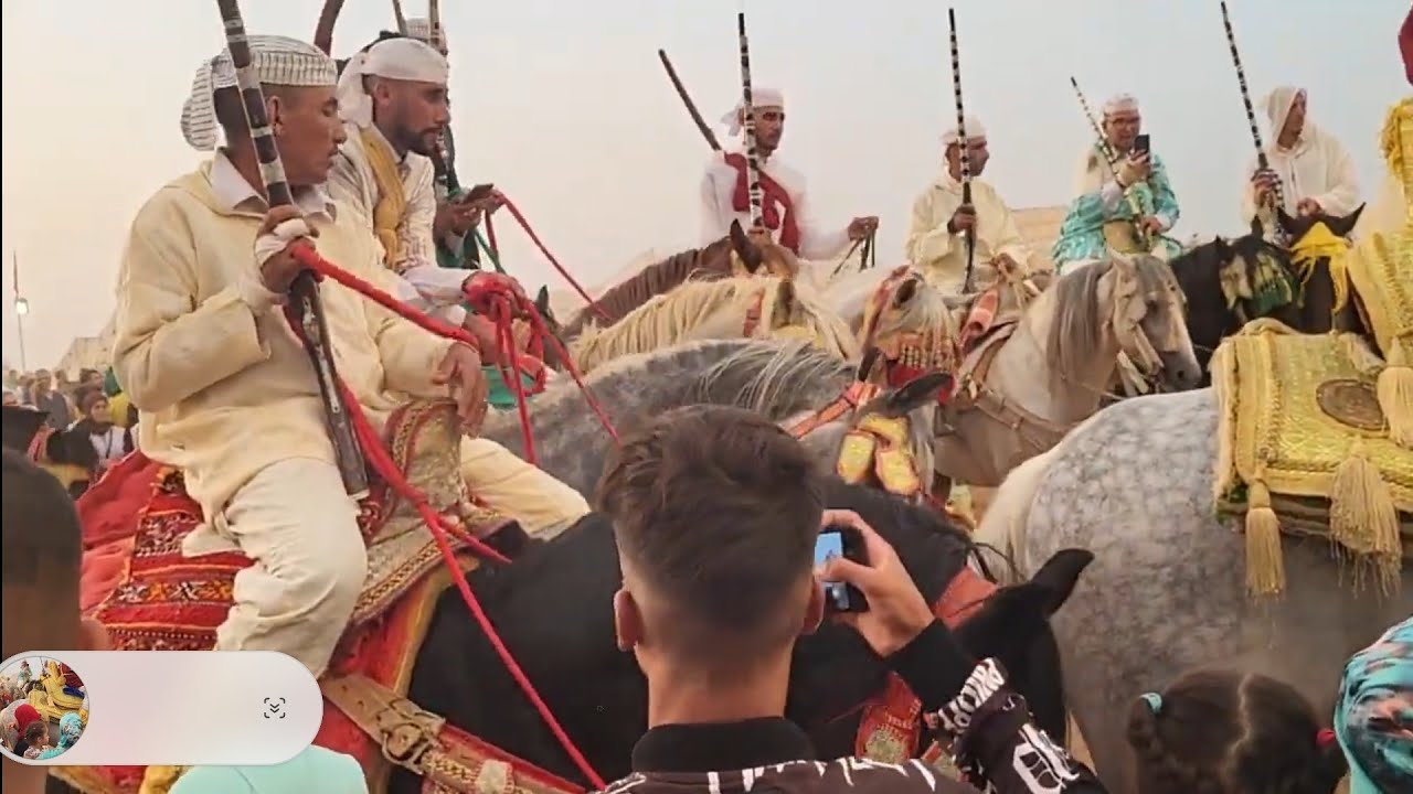 💥النشاط والتبوريدة في موسم سيدي الغندور الخميسات🏇