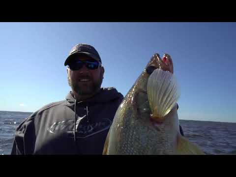 Summer Walleye Fishing On Lake Of The Woods, The Walleye Capital Of The World