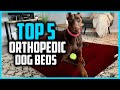 ✅ Top 5 Best Orthopedic Dog Beds in 2025