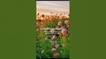 قران كريم ارح قلبك وسمعك #قران_في_دقيقة #محمد_اللحيدان #quran #قرآن @قران_في_دقيقة