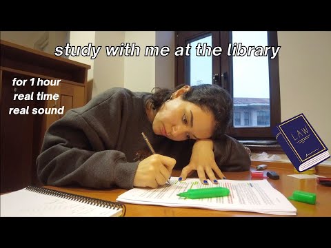 Study With Me at the Library/Benimle Kütüphanede Ders Çalış *no music, with timeri real time*