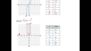 Transformations of Polynomial Functions