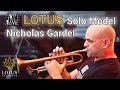 Nicolas gardels solo on count bubba