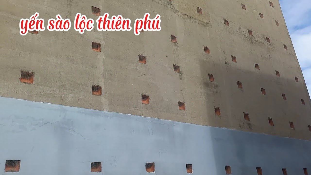 Sửa xong nhà yến bánh ú, muốn thành công cần phải chuẩn về kỹ thuật, vận hành, môi trường phù hợp