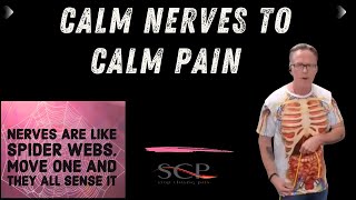 Nerve Are Like Spider Webs: Calm Nerves Calm Pain