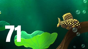 🐟 Pondlife - Relaxing Fish Game Walkthrough Part 71 | Mobile Gameplay (Android/iOS)