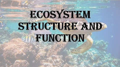 | Ecosystem | structure and function | HPU BSc 1st year