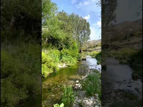 كلام جميل عن الاخلاق