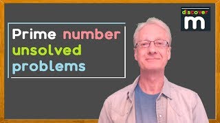 Famous Prime number unsolved problems Wealth