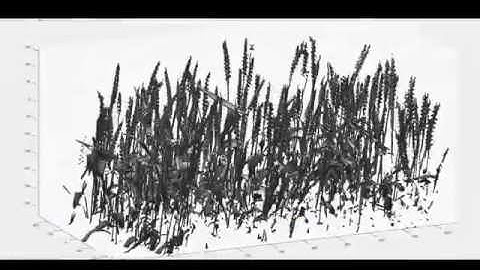 Scanalyzer 3D analysis