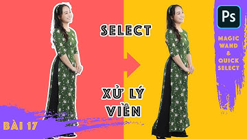 Chọn vùng trong Photoshop bằng Magic  Wand & Quick Selection | Bài 17 | Photoshop dành cho Nhiếp ảnh
