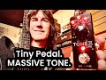 ToneX ONE - Tiny Pedal MASSIVE TONE!