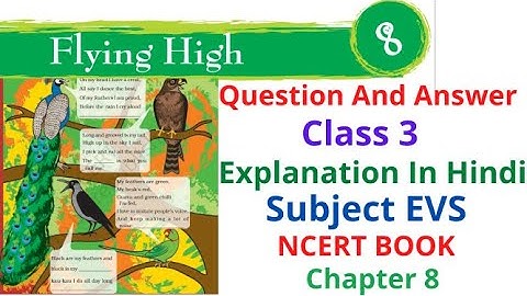 Question-Answers | Flying High | Unit 8 | Class 3 | NCERT Book 3