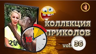 Коллекция приколов 36😂 10 минут лучших приколов Смех до слёз