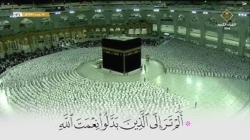 سورة ابراهيم الم ترى كيف ضرب الله مثلا في صلاة الفجر في الحرام المكي في بيت الله الحرام