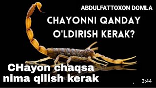 Chayon chaqsa nima qilish kerak..  Абдулфаттоҳҳон домла