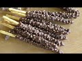 PEPERO from Korea