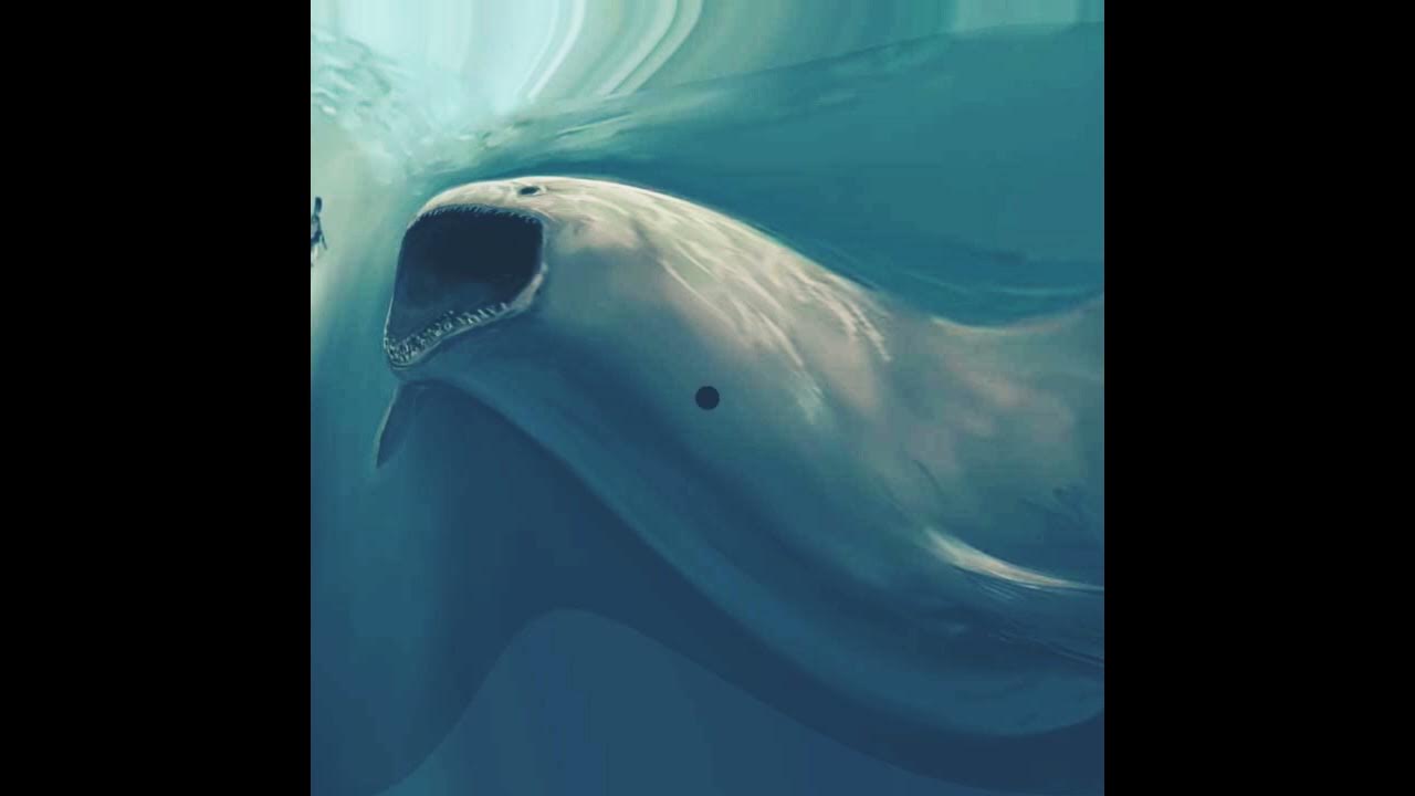 what is bloop?#youtubeshorts