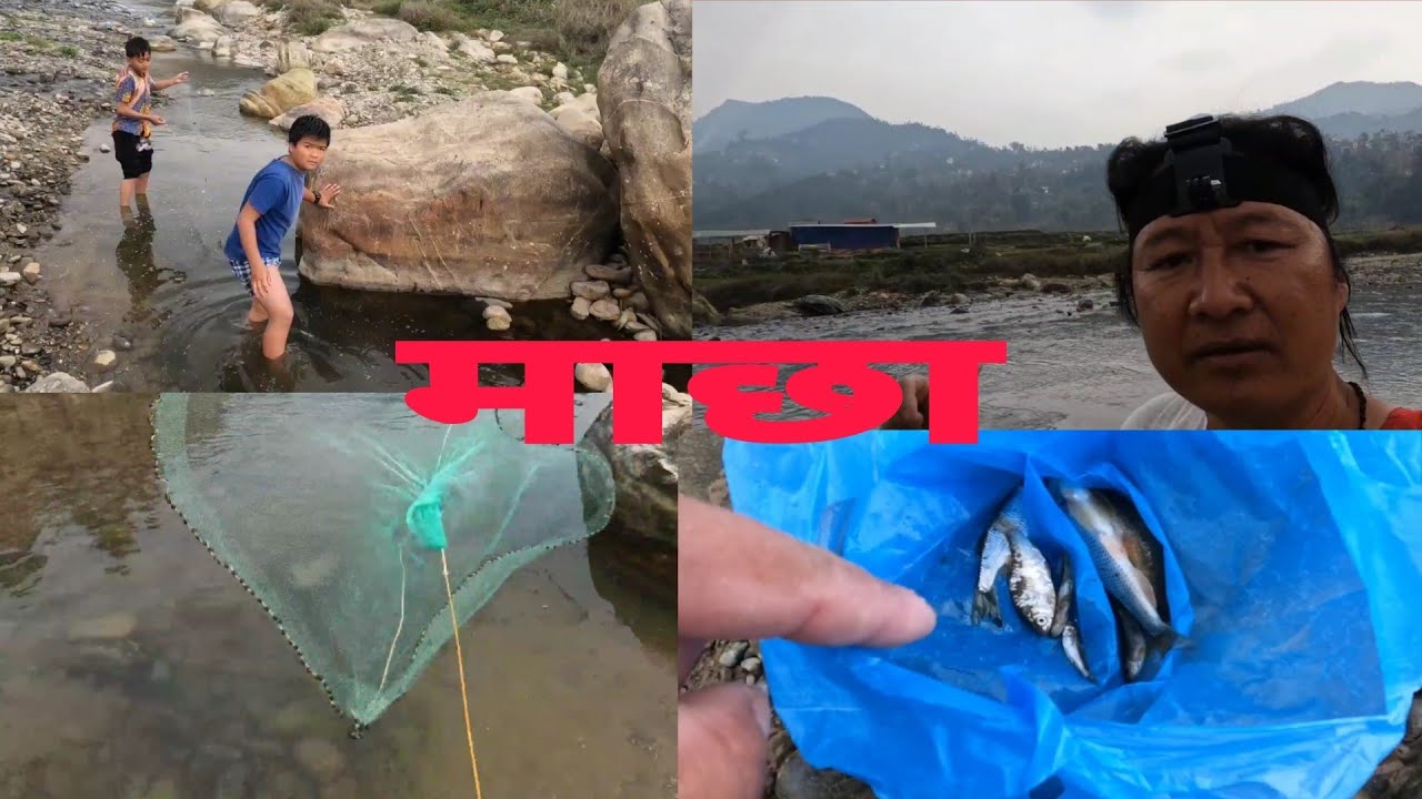 धादिङको  खाेला काे माछा यस्ताे छ हजुर bikram ghale RsTv २०८२