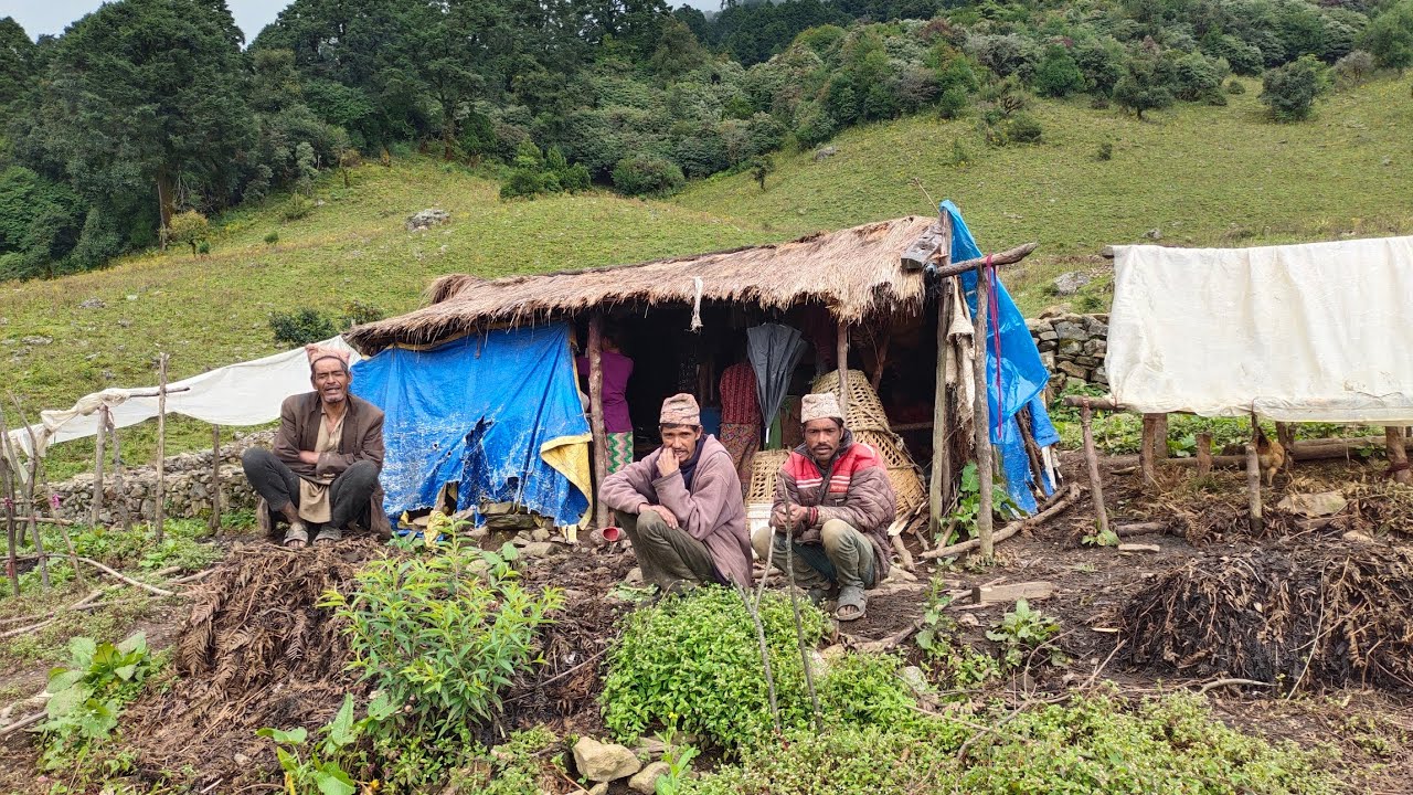 Organic Nepali Mountain Village Life in Nepal । Most Peaceful & Relaxation Village Life in Rain Time