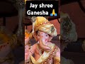 Happy ganesh chaturthi 🙏🙏❤️❤️ #ganeshchaturthi #ganesh #ganpatibappa