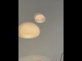 Round hemispherical chandelier – minimalist design lamp, gentle embellishment of space