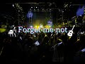 『Forget-me-not』acoustic Live