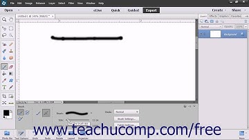 Photoshop Elements 13 Tutorial The Brush Tool Adobe Training